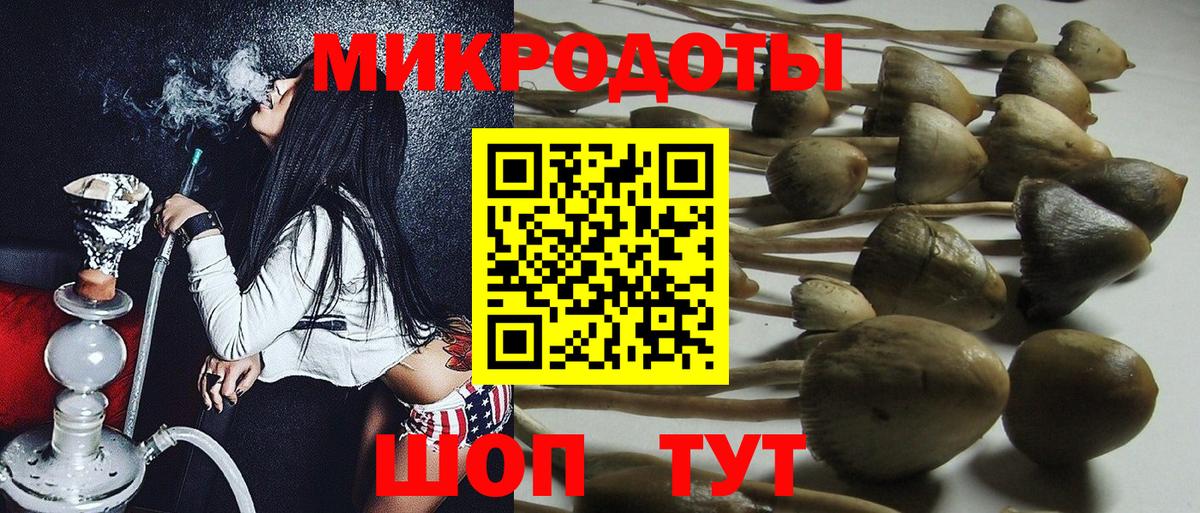 Галлюциногенные грибы GOLDEN TEACHER Архангельск