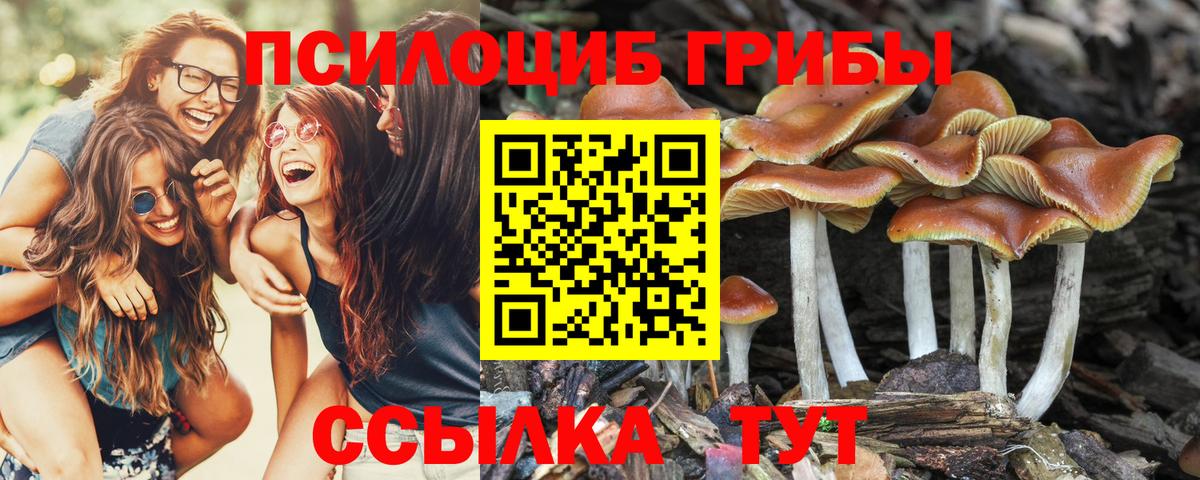 Архангельск  Галлюциногенные грибы прущие грибы  Вход с VPN 